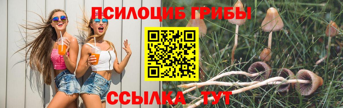 Галлюциногенные грибы GOLDEN TEACHER  Псилоцибиновые грибы GOLDEN TEACHER  Вход с VPN  Ноябрьск 